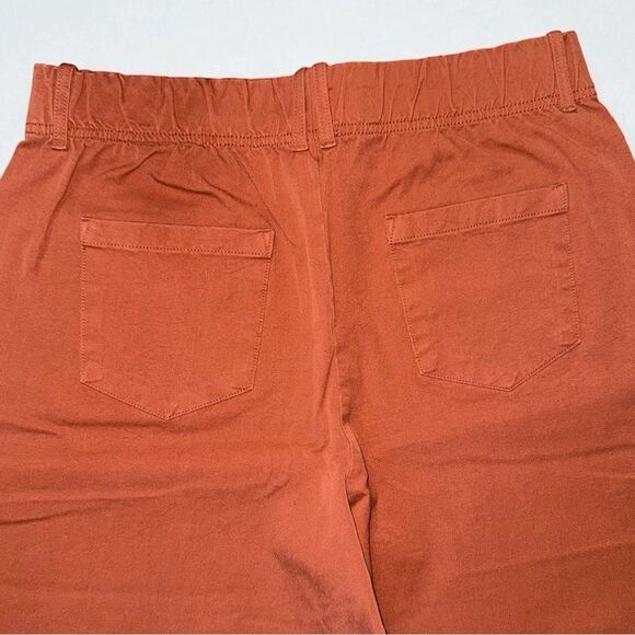 AnyBody Regular All-Stretch Twill Straight Leg Ankle Pants Size Medium - Picture 8 of 12